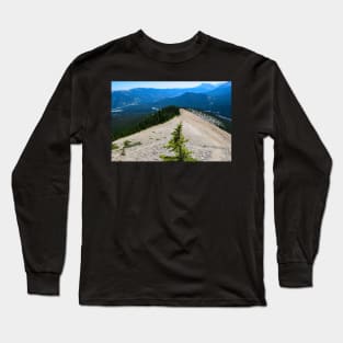 Lone Pine on the mountains top Long Sleeve T-Shirt